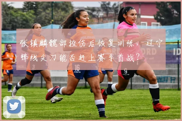 张镇麟髋部挫伤后恢复训练,辽宁锋线尖刀能否赶上赛季首战?