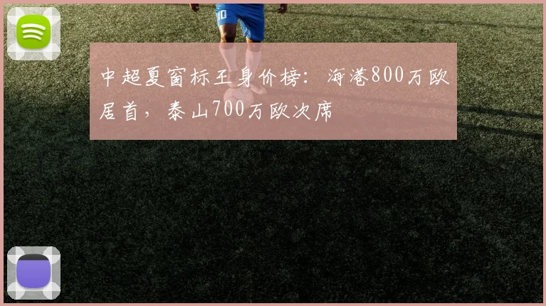 中超夏窗标王身价榜:海港800万欧居首,泰山700万欧次席
